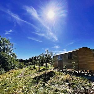 Robins Retreat - Orchard With Hot Tub - See Extras Villa Alfriston Exterior photo