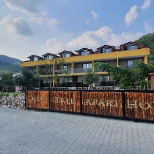 Olive Tree Apart Hotel Mugla Exterior photo