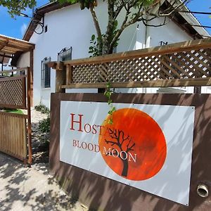 Hostal Blood Moon Hotel Rio Dulce Exterior photo