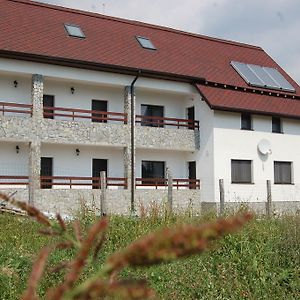 Pensiunea Bogdan Hotel Novaci-Straini Exterior photo