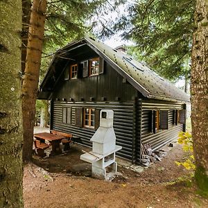 Chalet Liza & Rozi Apartment Zgornja Loznica Exterior photo