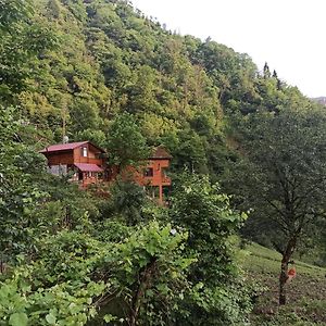 Avitte Dag Evleri Rize Exterior photo