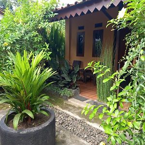 Juda Homestay Banyuwangi  Exterior photo