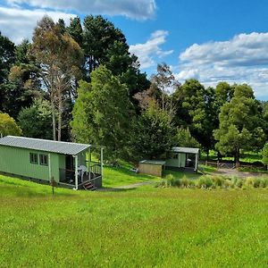 Cozy Otways Accommodation Beech Forest Exterior photo