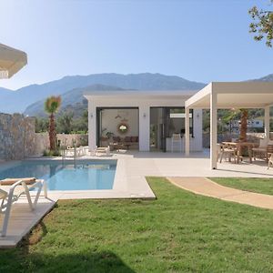 Pelagias Villa Lefka With Heated Pool Mathes Exterior photo