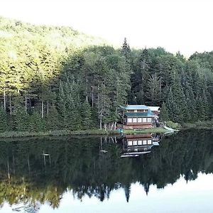 Middle Pond Cabin- Direct Atv & Snowmobile Access Villa Pittsburg Exterior photo