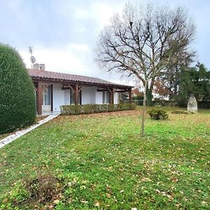 Maison "Le Pin" Villa Saint-Germain-de-Lusignan Exterior photo