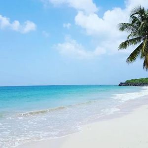 Les Pieds Dans L'Eau: Beachfront Retreat at Anse Caritan, Sainte-Anne Apartment Exterior photo