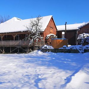 Borlova /Muntele Mic Hotel Exterior photo