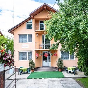 Pensiunea Larisa Hotel Ocna Sugatag Exterior photo