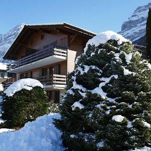 Apartment Nordwestwand By Interhome Grindelwald Exterior photo