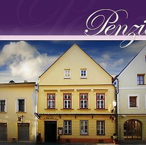 Penzion U Lucerny Hotel Jindrichuv Hradec Exterior photo