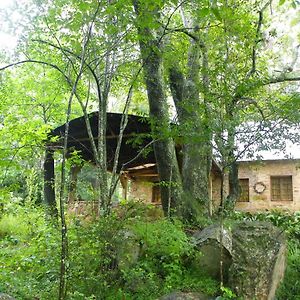 Klipinnibos Nature Farm Shoemanskloof Exterior photo