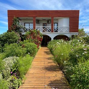 Teanehi Bed & Breakfast Bed & Breakfast Hanga Roa Exterior photo