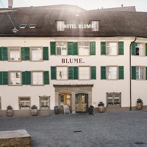 Hotel Blume - Swiss Historic Hotel Baden Exterior photo