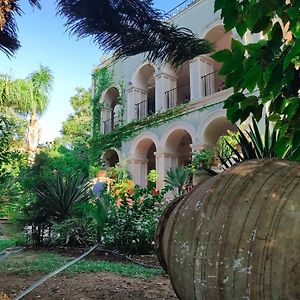 Babil Bahceleri - Gardens Of Babel Bed & Breakfast Lapithos  Exterior photo