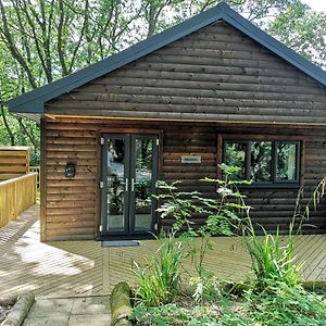 Bluestone-Hot Tub-Woodlandlodges-Pembrokeshire-Tenby Carmarthen Exterior photo