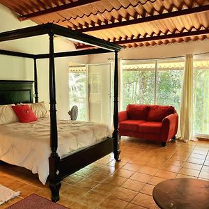 Olp Treehouse Cerro Azul Bed & Breakfast Exterior photo