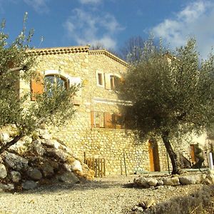 Les Chambres D'Hotes Du Mas Face Au Ventoux Plaisians Exterior photo