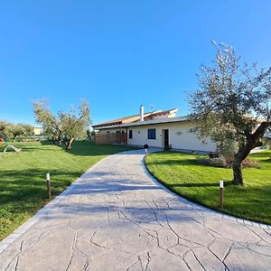 Bed & Breakfast La Campagna Di Peppe E Tullia Bed & Breakfast Formia Exterior photo