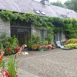 Ty Cefn Tregib B&B Llandeilo Exterior photo