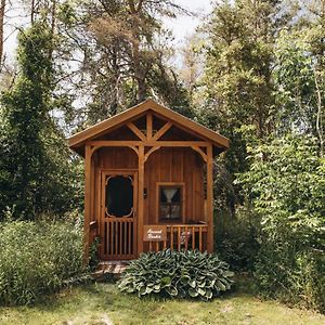 Dreamers Writing Farm, 3 Wooded Acres, Hepworth Hotel Sauble Beach Exterior photo