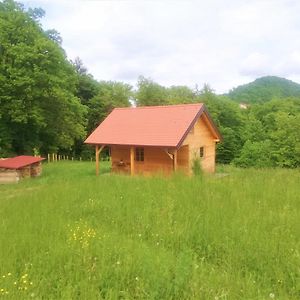 Lesena Hiska Cebelnjak Villa Loce pri Poljcanah Exterior photo