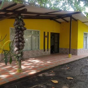 Cabana En La Playa Punta Bolivar Villa San Antero Exterior photo