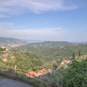 Casa Marta Apartment San Martino di Noceto Exterior photo