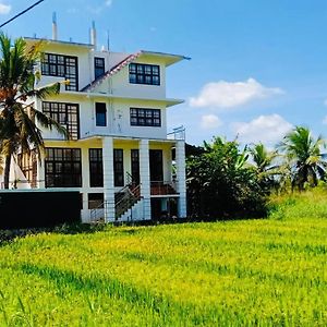 Freedom Of Green Rice View Hotel Anuradhapura Exterior photo