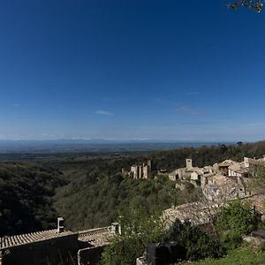 Chateau Le Camigne, Vue Pyrenees Villa Saissac Exterior photo