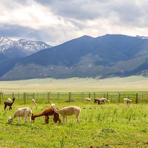 Mountain-View Montana Rental Cabin On Alpaca Farm! Silver Star Exterior photo