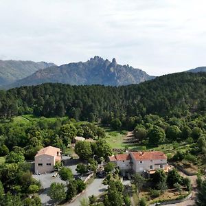 Les Hauts De Cavanello Bed & Breakfast Zonza Exterior photo