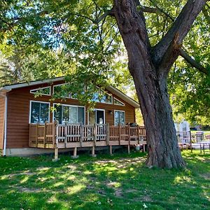 Merland Park Cottages And Motel Picton Exterior photo