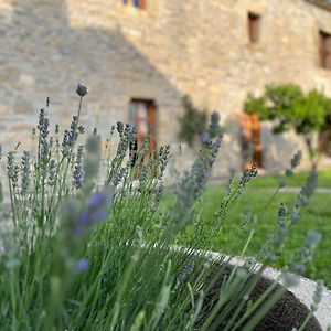 La Abadia Guest House Coscojuela de Sobrarbe Exterior photo