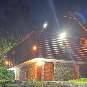 Log Cabin 1 Merdovic Bed & Breakfast Mojkovac Exterior photo