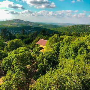 Mzraa Julia Apartment Ajloun Exterior photo