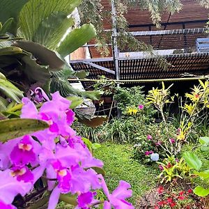 Natural Luxury Hotel Dagua Exterior photo