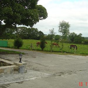 Traditional Stone Cottage 300 Years+ Galway Exterior photo