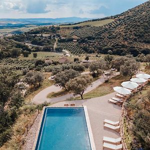 Corte Francigena Apartment Montalcino Exterior photo