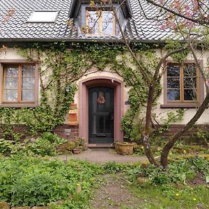 Dolcefarniente Apartment Dohm-Lammersdorf Exterior photo