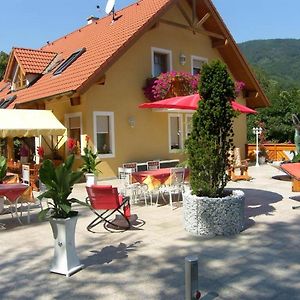 Gaestehaus Zur Schoenen Aussicht Hotel Spitz an der Donau Exterior photo