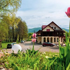 Complex Zimbru Hotel Nemtisor Exterior photo