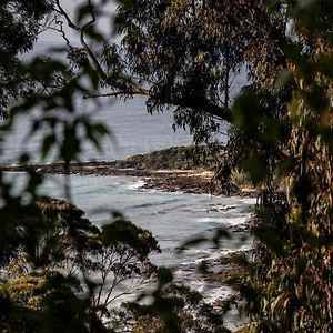 Bridge Rest Villa Wye River Exterior photo