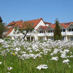 Gaestehaus Steker Hotel Bad Driburg Exterior photo