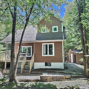 Chalet Chez Antoine Villa Saint-Donat-de-Montcalm Exterior photo