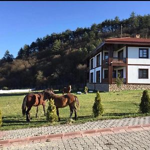 Mengen Rueya Ciftligi Hotel Babahizir Exterior photo