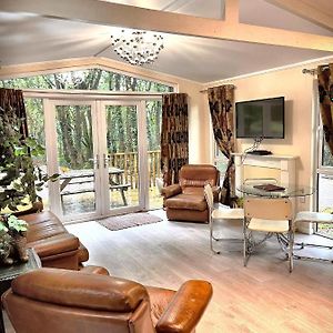 Welsh Villa-Hot Tub-Tenby-Carmarthen-Forestsetting Exterior photo