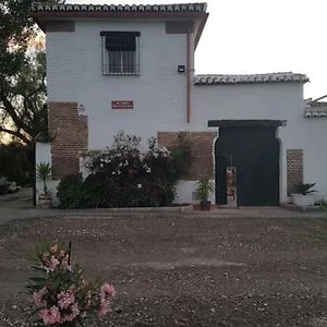 Cortijo Montesanto S. XVII Villa Granada Exterior photo