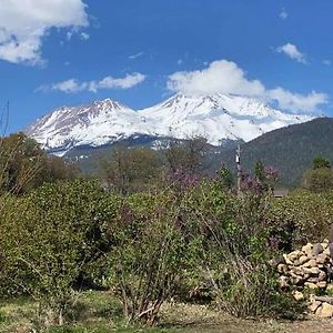 Angel Cottage With A Sauna Or The Cozy With A Jacuzzi Tub, Both Are Studios With A View Of Mount Shasta Exterior photo